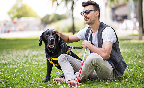Seeing Impaired Man With His Dog Sitting On The Grass