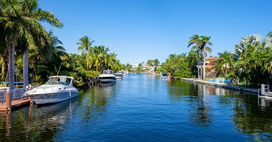 Photograph of a water canal with boats in the water and palm trees on the surrounding land