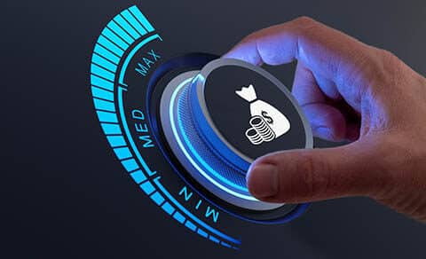 Saving,money,and,growing,capital,financial,concept.,increase,wealth,,income,