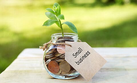 Jar, coins, plant, small business tag.
