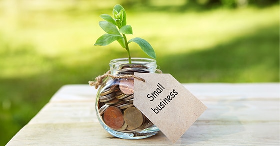 Jar, coins, plant, small business tag.