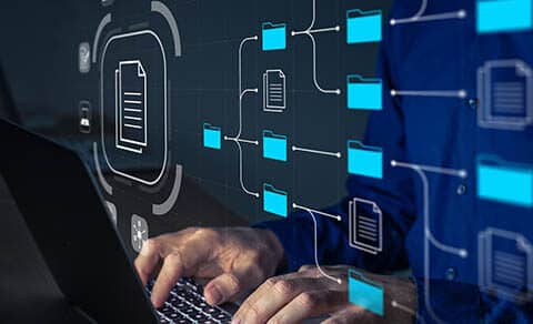 Document,management,system,(dms),being,setup,by,it,consultant,working