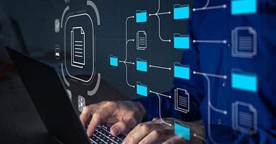 Document,management,system,(dms),being,setup,by,it,consultant,working