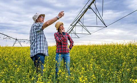 Ideal family business successors develop a broad base of experience and expertise long before the current leader retires. We explain what succession candidates need to know before assuming the top job.