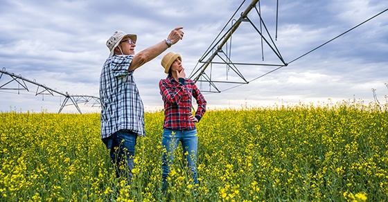 Ideal family business successors develop a broad base of experience and expertise long before the current leader retires. We explain what succession candidates need to know before assuming the top job.